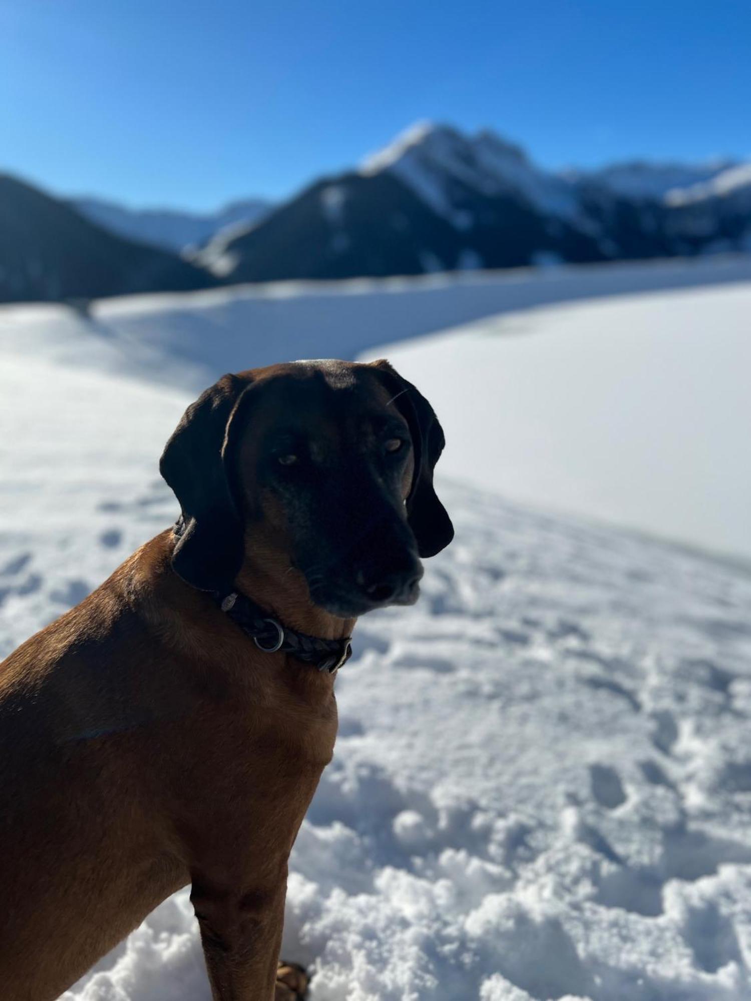 Wimreiter Appartamento Saalbach-Hinterglemm