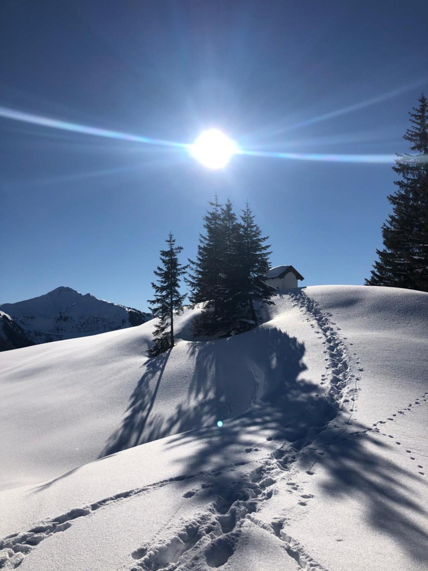 Wimreiter * Saalbach-Hinterglemm